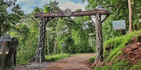 Bhadra Wildlife Sanctuary
