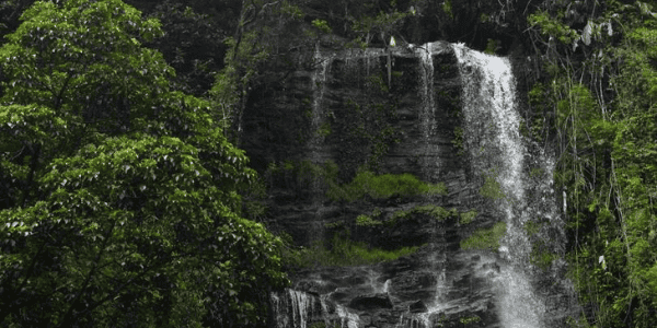 Jhari Falls
