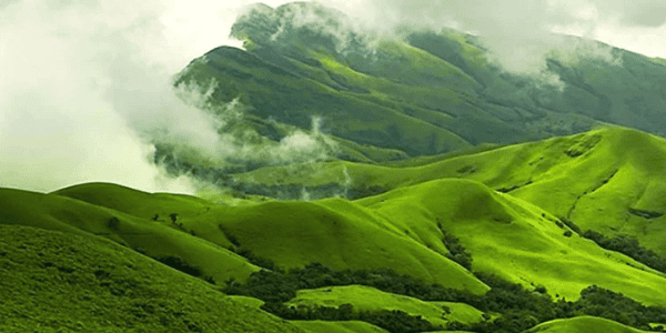 Kavikal Gandi View Point