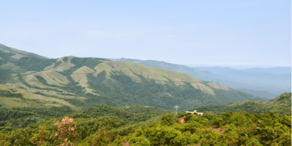 Mullayanagiri Peak